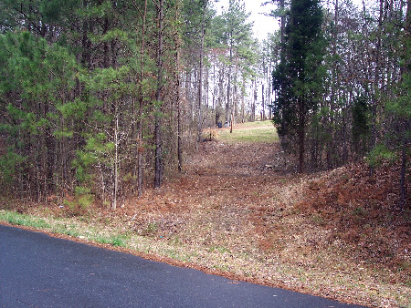 Lot Clearing and Pathways Lot Clearing and Pathways